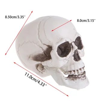 Plastični mini-lubanja čovjeka, rekvizite, glava kostura, ukras za kavane na Halloween D08A